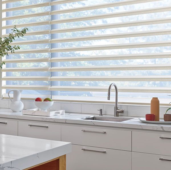 Hunter Douglas Pirouette shades OKC