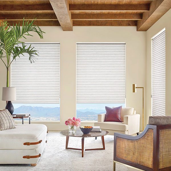 Hunter Douglas Sonnette shades